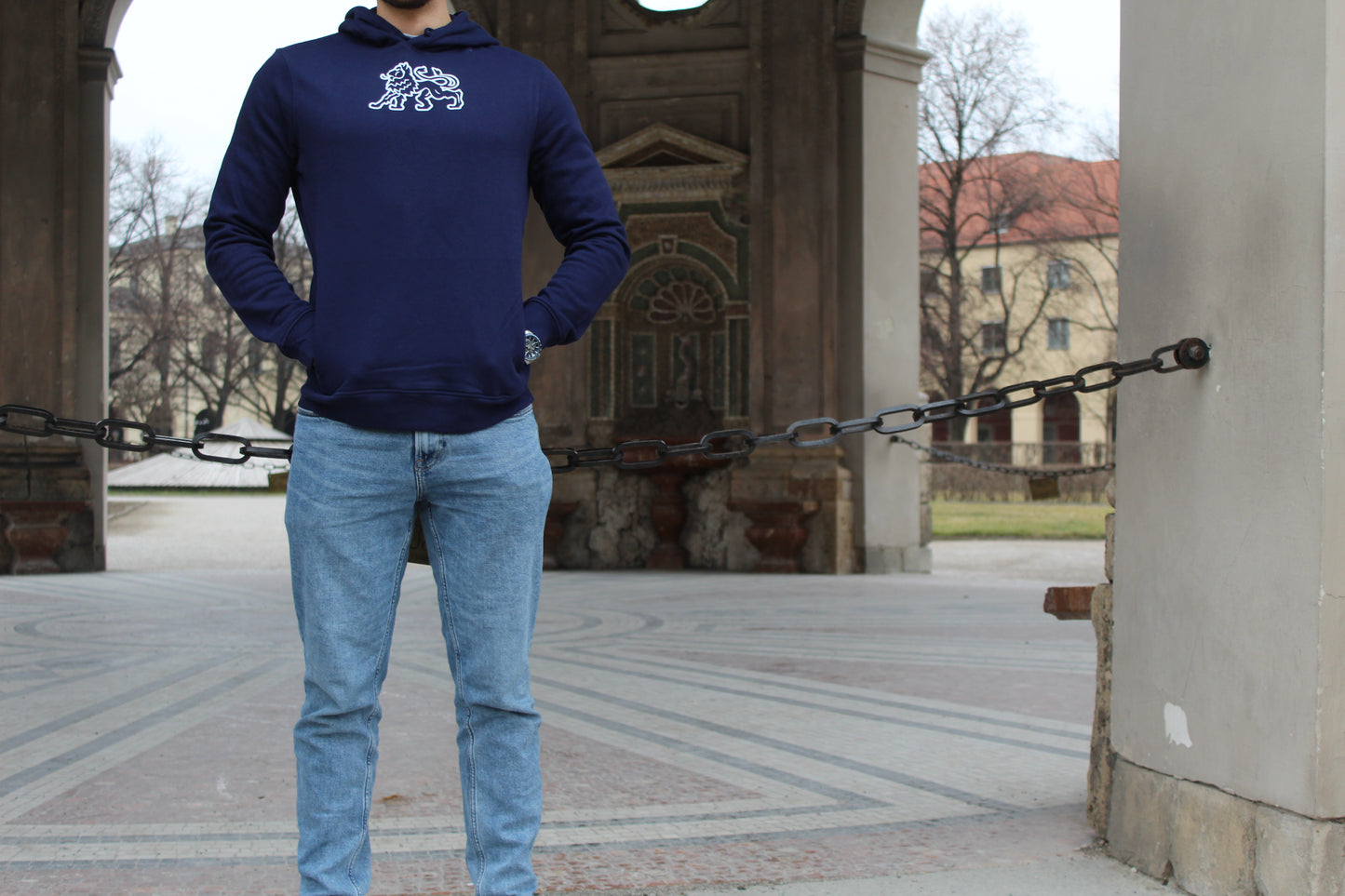 Hoodie "Löwe"